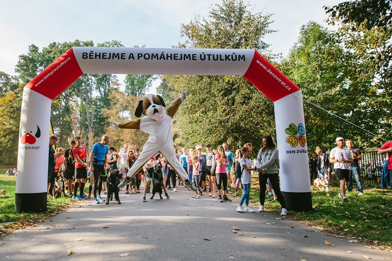 7.9.2025 Běhejme a pomáhejme útulkům a Charitativní kočičí spolek Kryšpín