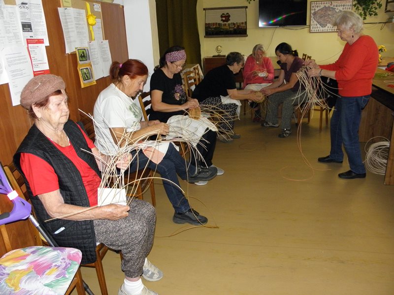 Opět pleteme z pedigu ...